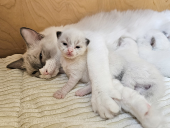 Mama und D...
