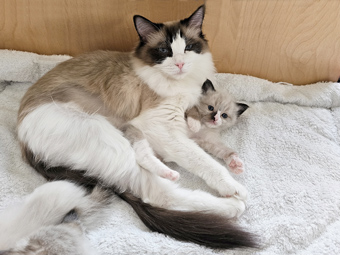 Mama und Erica